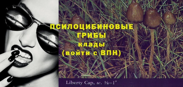 первитин Богородск