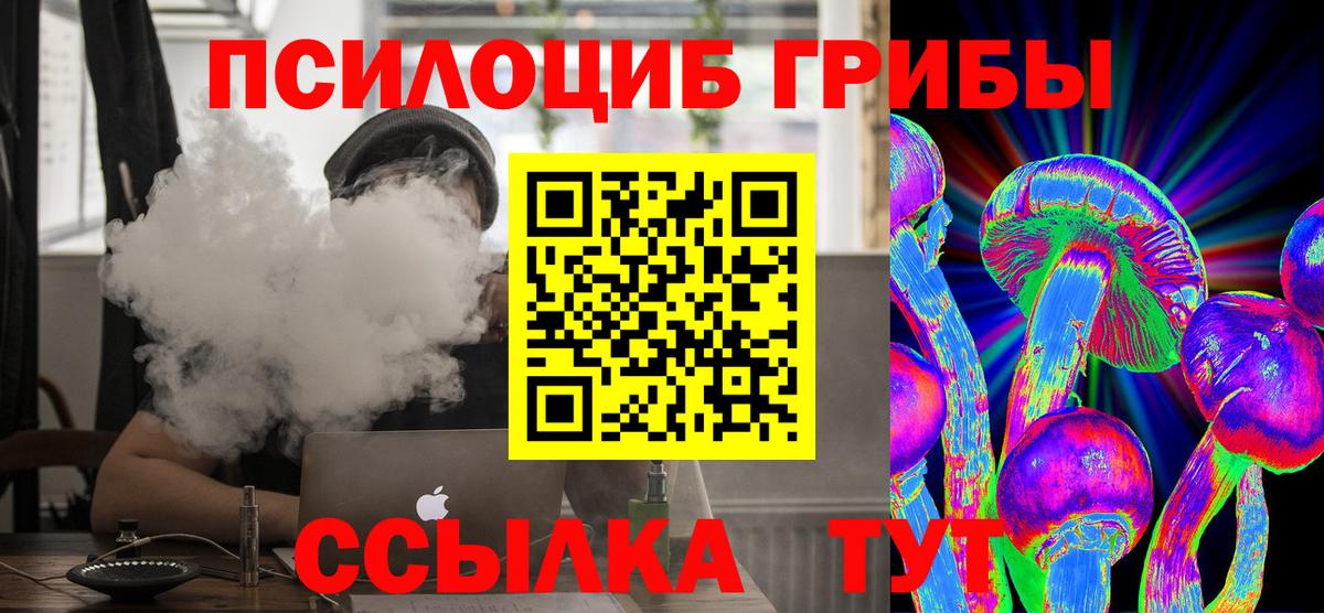 Борзя  Галлюциногенные грибы мицелий  продажа наркотиков  Вход с VPN 