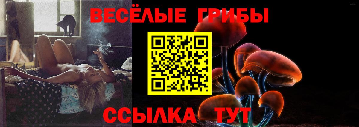 Галлюциногенные грибы GOLDEN TEACHER Борзя